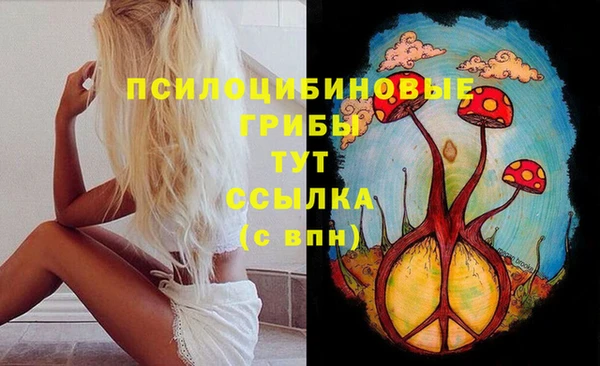 не бодяженный Магадан