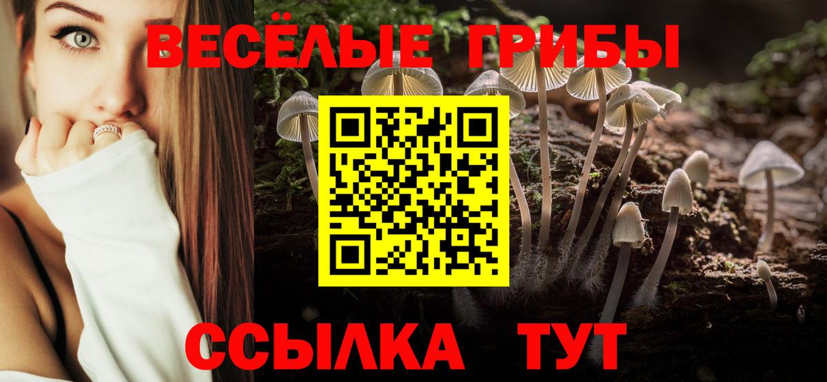 Псилоцибиновые грибы ЛСД  Псилоцибиновые грибы MAGIC MUSHROOMS  Звенигород  Вход с VPN 