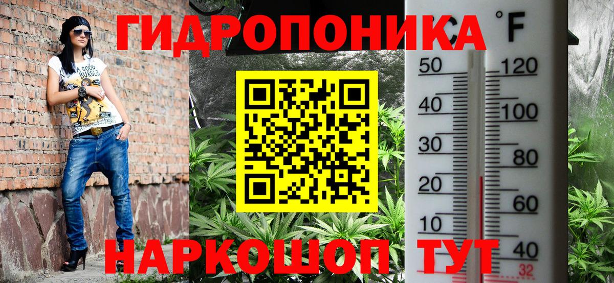 Марихуана Ganja  Бошки Шишки VHQ  Звенигород  Вход с VPN  Каннабис SATIVA & INDICA  МАРИХУАНА конопля 
